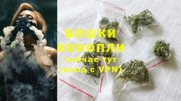ГАЛЛЮЦИНОГЕННЫЕ ГРИБЫ Вяземский