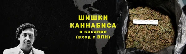 прущие грибы Вязники