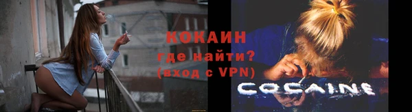 ГАЛЛЮЦИНОГЕННЫЕ ГРИБЫ Вяземский