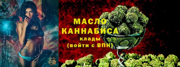 винт Горняк
