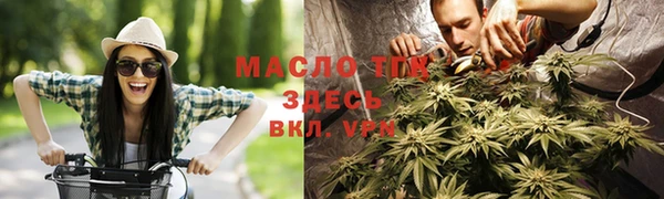 винт Горняк