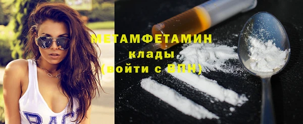 прущие грибы Вязники