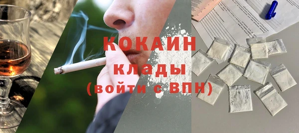 прущие грибы Вязники