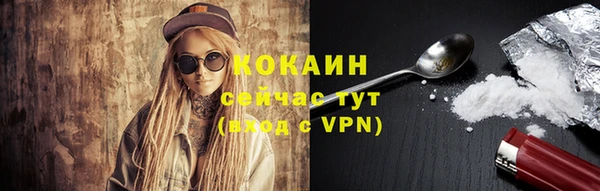 прущие грибы Вязники