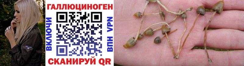 Псилоцибиновые грибы Cubensis  kraken сайт  Яхрома 